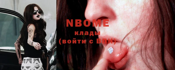 стафф Алзамай
