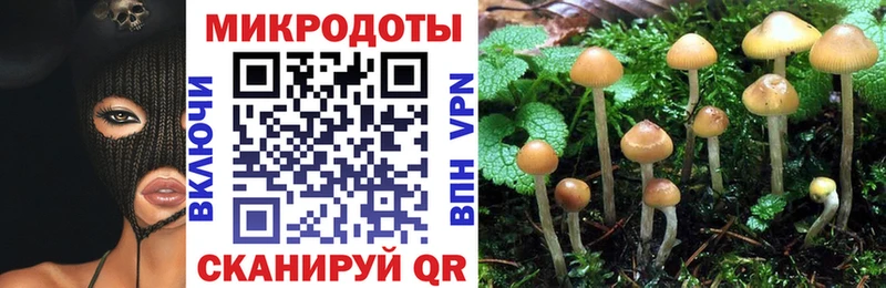 Галлюциногенные грибы MAGIC MUSHROOMS  Канаш 